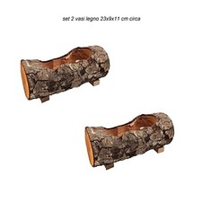 2 tronco albero cavo fioriera