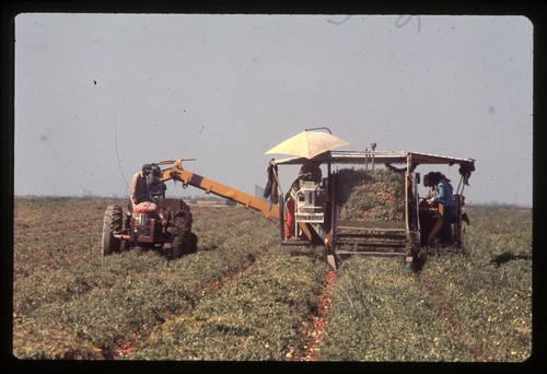 Sl26 slide 1980 - 1980, omaha
