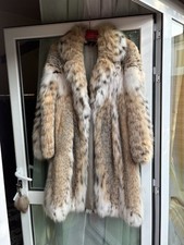 Pelliccia di lince rara (Rare