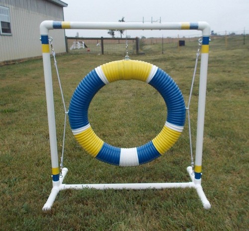 Attrezzatura agility cane - agility,
