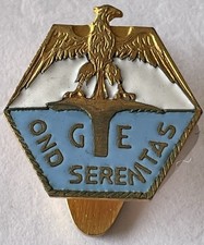 Distintivo OND Gruppo