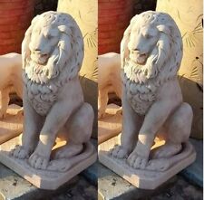 COPPIA DI LEONI LEONE DIRITTI