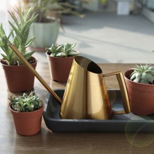 Annaffiatoio piccolo in