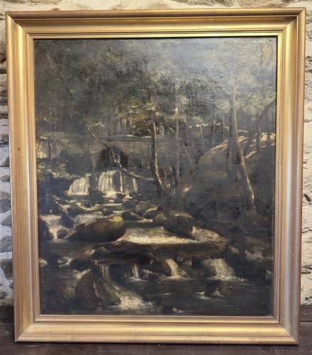 Grand paysage forestier école