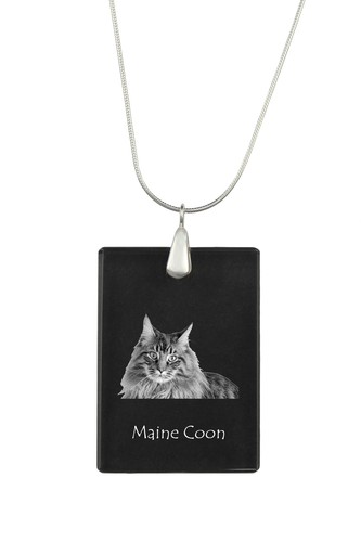 Collana maine coon con - maine,