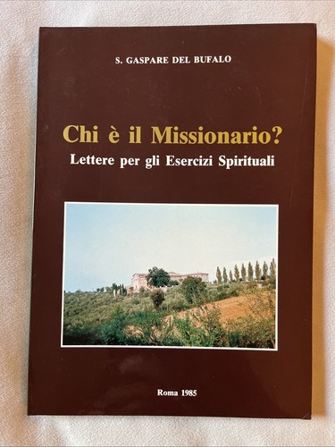 San gaspare del bufalo chi - san,