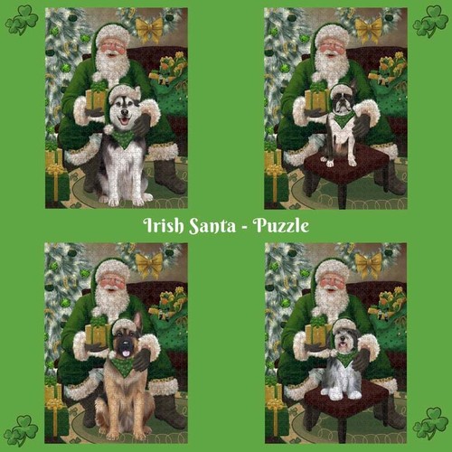 Babbo natale irlandese - natale,