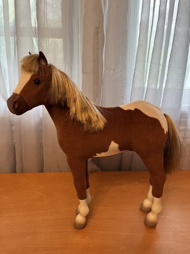 American girl paint foal horse - paint,