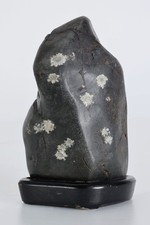 Suiseki Bonseki Bonsai