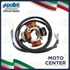 STATORE ACCENSIONE POLINI