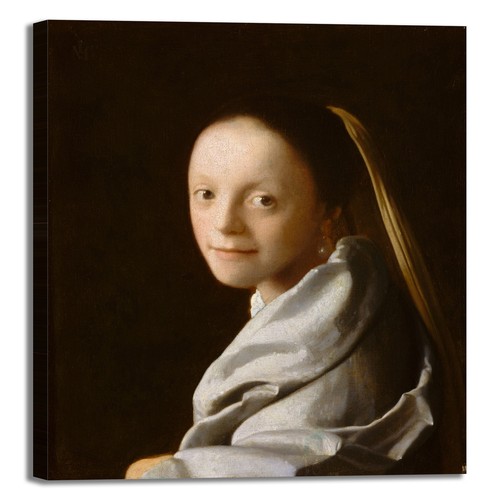 Vermeer studio una donna - di,
