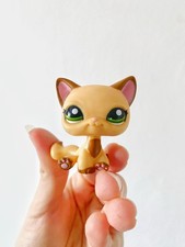 Littlest Pet Shop raro gattino