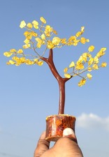 75+ pietre preziose citrino