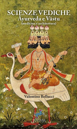 Libri valentino bellucci - libri,