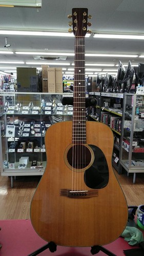 Chitarra acustica elettrica