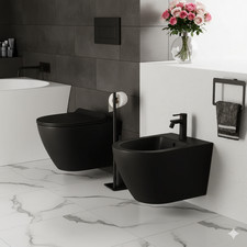 coppia di sanitari sospesi