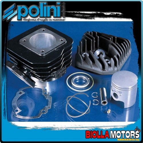 119 0077 gruppo - 119.0077, polini