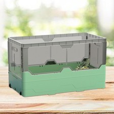 Tartarughe Acquario Tartarughe