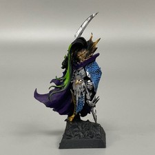 Scuro Elfo Nero Arca Fleetmaster Warhammer The Old World Dipinto Elfi Signore