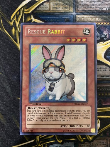 Rescue rabbit - rescue,
