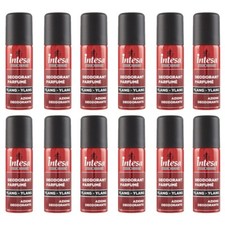 12pz INTESA Azione Deodorante