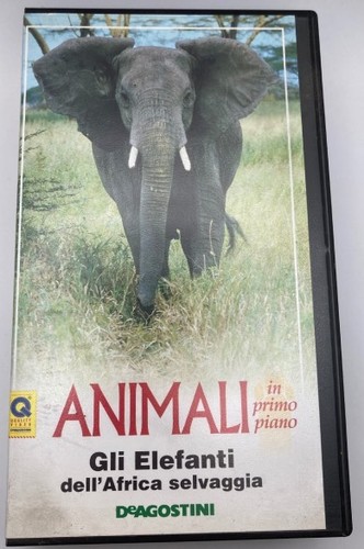 Film vhs animali gli elefanti - vhs,