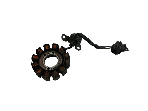 Statore alternatore magnete - statore,
