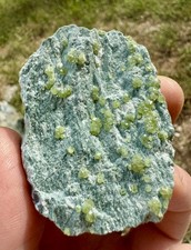Granato Andradite Var Demantoide ValMalenco Acquanegra (SO) Collezione Grazioli