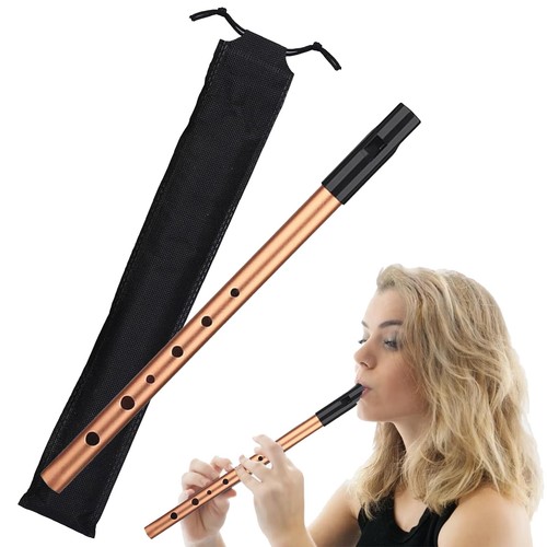 Tin whistle penny - whistle,, whistles