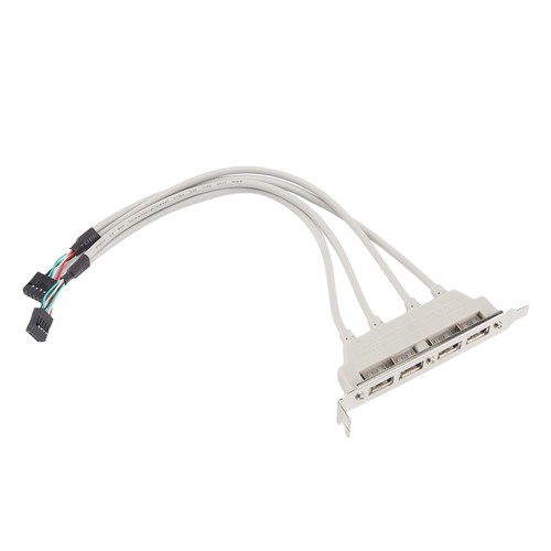 Doppia scheda madre 9pin - doppia,