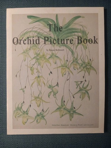 The orchid picture book - orchid,