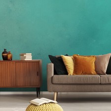 TESSUTO NON TESSUTO FOTOMURALE