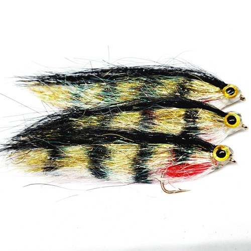 Rutland grafham nuovi - rutland,