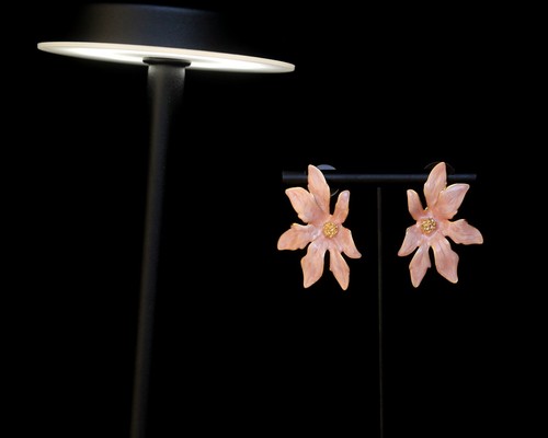 Orecchini clip arte - on,