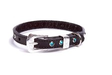 NUOVO! Collare per cani in