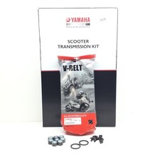 kit tagliando variatore