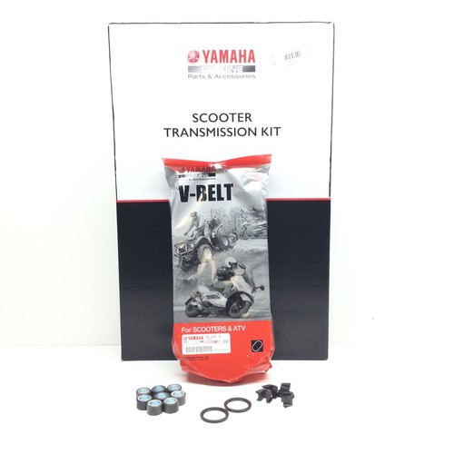 Kit tagliando variatore - kit,
