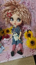 Blythe Doll Custom