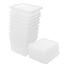  10 Pcs Teca Per Rettili