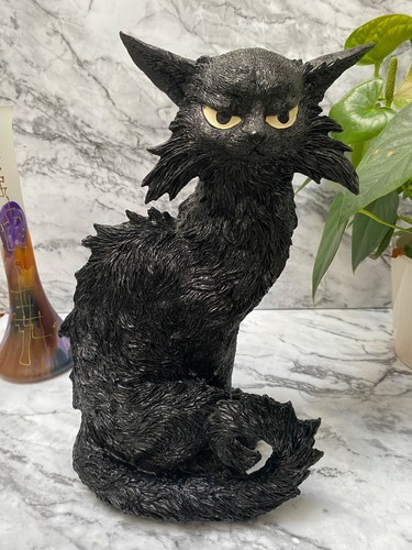Large black cat - large, witch