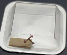 ZENITH 3019 710 ANCORETTA EL PRIMERO 400 PALLET FORK NEW ORIGINAL ANCORA