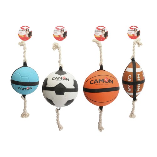 Gioco cane palla calcio - cane,