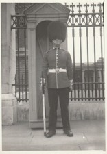 B2 - Foto Photo Fotografia Anni 60 - Guardia Reale Inglese