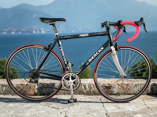 Eddy merckx bici - bici, da