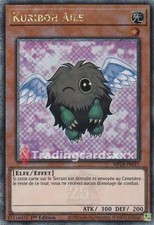 Yu-Gi-Oh! Kuriboh Ailé : QCSE