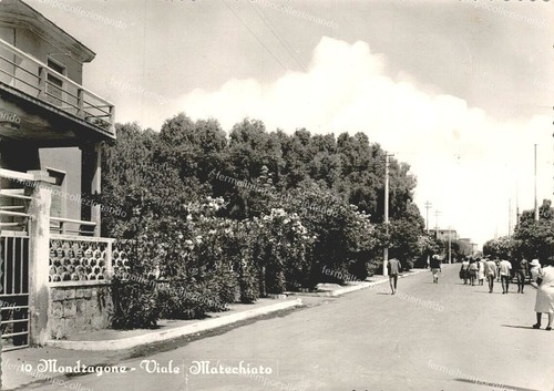 Do648 cartolina saluti - do648,