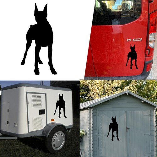 Adesivo vinile doberman v4 - vinile,