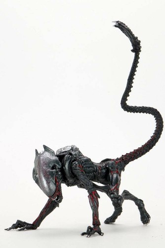 Aliens night cougar alien - aliens,