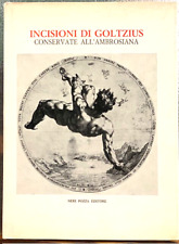 INCISIONI DI GOLTZIUS