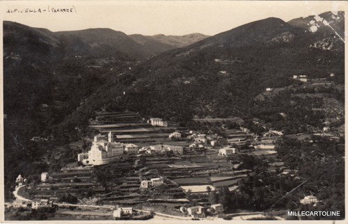 Alpicella fotocartolina - *,